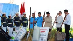 Prabowo Umumkan Indonesia Resmi Swasembada Pangan pada Tahun 2025